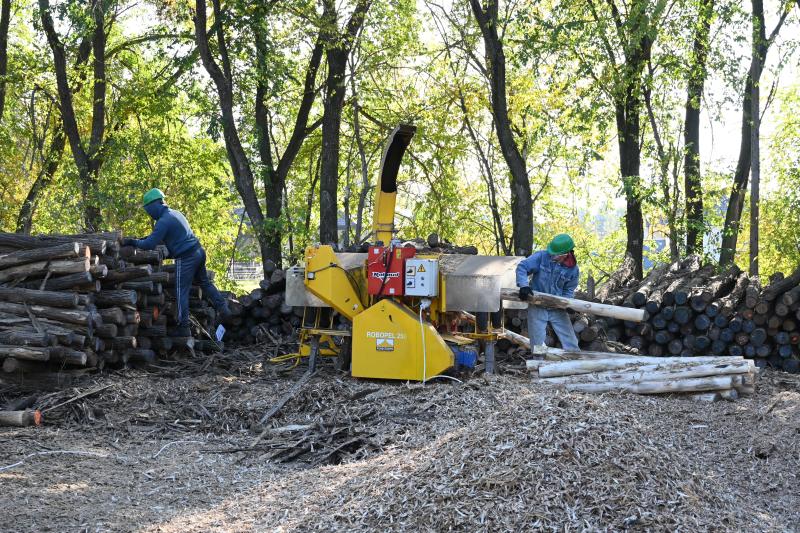 Végzős erdészeti technkiusok látogattak a Nyírerdő Zrt-hez