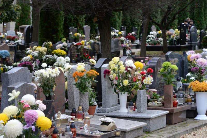 Virágözön az Északi temetőben