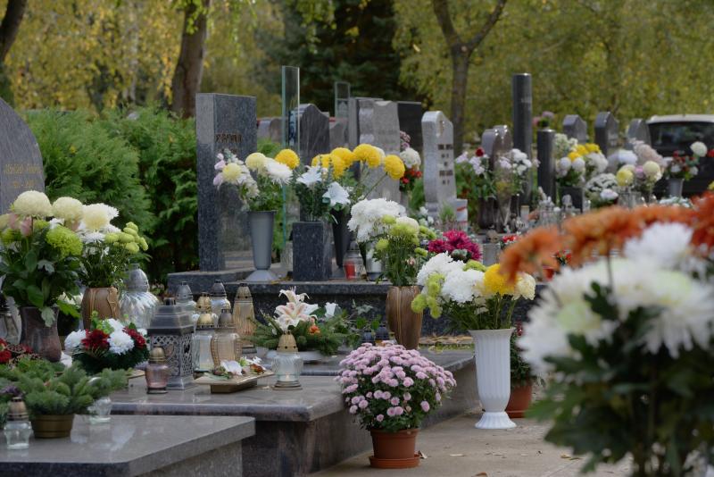 Virágözön az Északi temetőben