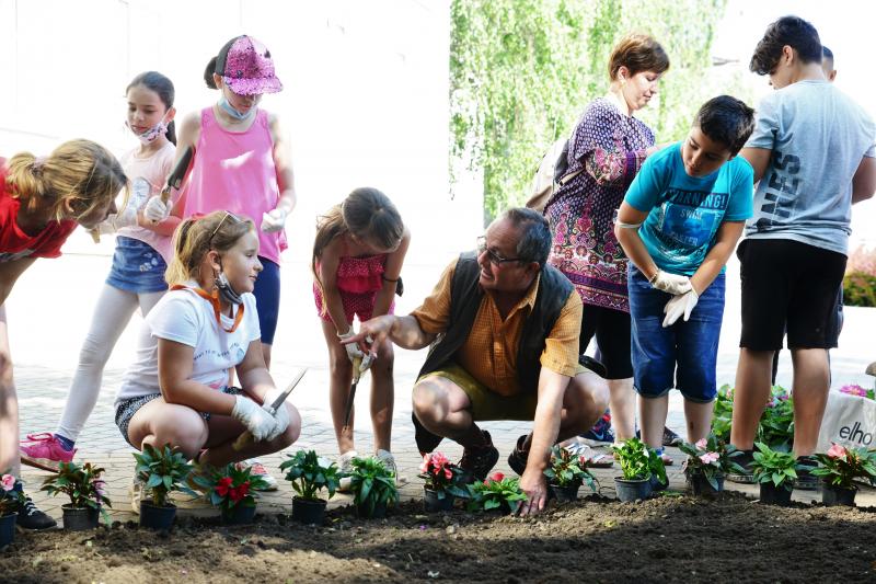 Virágültetés a belvárosban az ÖKOSULI program keretében