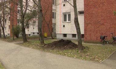 Idén is balkonföldet biztosítanak a nyíregyháziaknak