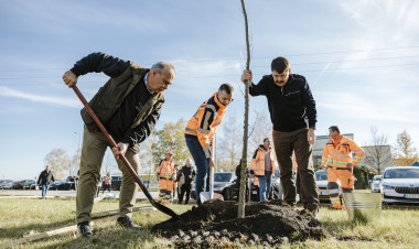 Új konstrukcióban zöldülnek a közutak menti területek