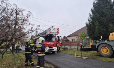 Érkezik a város fenyőfája! – A Nyitra utcán kivágták, délutánra mára Kossuth téren áll