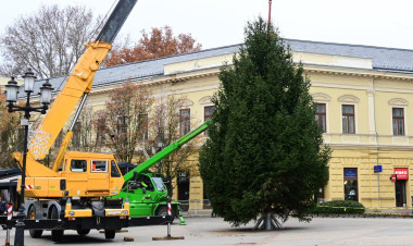 Már a Kossuth téren áll a város karácsonyfája – A Kertvárosból érkezett a 11 méteres lucfenyő
