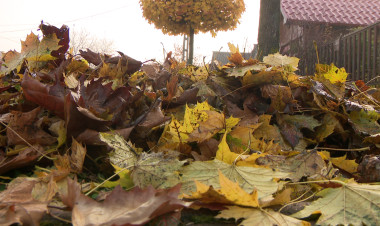 Avarégetés – Számos veszélyt rejt a kerti és egyéb hulladékok égetése