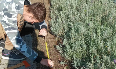 Különdíjat nyert a Nyíregyházi RIDENS környezeti nevelési projektje