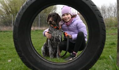 Óvjuk kedvenceinket! – Így vigyázzunk négylábú barátainkra télen!