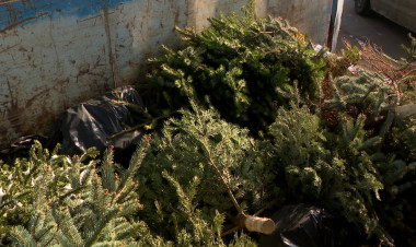 Nyereményért karácsonyfát – Elindult az ÉAK idei gyűjtőakciója