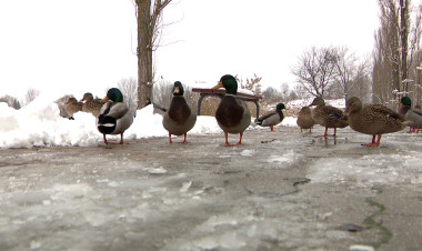 Egyelőre nem enged a hideg – rekordközeli energiafogyasztás és megteltek a melegedők Nyíregyházán