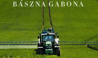 Nem maradnak magukra a gazdák: segítséget kapnak a Bászna Gabona Zrt. miatt bajba jutott termelők