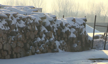 Folyamatosan osztják a tűzifát a rászoruló nyíregyházi lakosoknak
