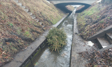 Mindent beledobálnak az Ér-patakba       