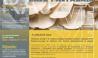 Macro Natura – rajzpályázatot hirdet a Nyíregyházi Művészeti Szakgimnázium és Kollégium