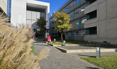 A megye ápolóit köszöntik Nyíregyházán a Magyar Ápolók Napja alkalmából