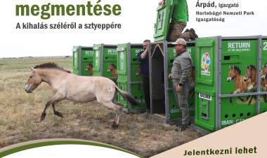A Przewalski-ló megmentéséről tartanak előadást a könyvtárban