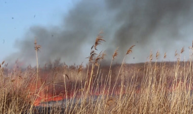 Szabadtéri tüzek – Szabályok, kockázatok, melyek figyelmeztetésként szolgálnak