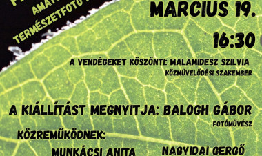 Évszakok – természetfotó-kiállítás nyílik a Városmajorban