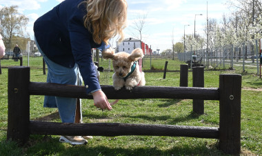 Tavasszal folytatódik a Kutyázz, Nyíregyháza! program
