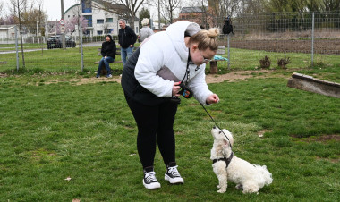 Folytatódik a Kutyázz, Nyíregyháza! – Ingyenes tréninget szervez az önkormányzat