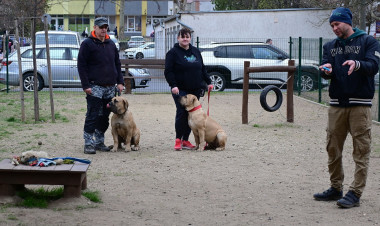 Kutyázz, Nyíregyháza! – Újra várják a gazdikat az ingyenes oktatások