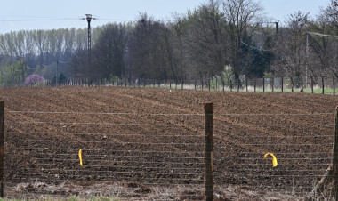 Sirály-rét erdősítés – Összesen 140 ezer fát ültettek