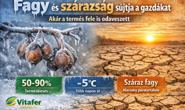 Fagy és szárazság sújtja a gyümölcsösöket – jelentős terméskieséssel számolnak a gazdák