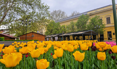 Online lakossági fórum a nyíregyházi közlekedésfejlesztésről