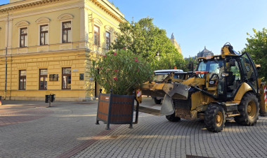 Visszatértek a leanderek és a pálmák Nyíregyháza köztereire