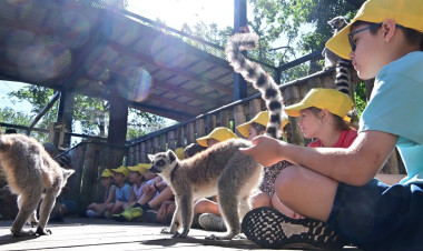 ZooSuli – Négy turnusban várja a gyerekeket az állatpark nyári tábora