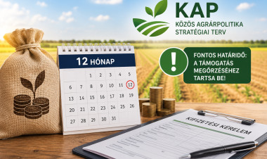KAP-támogatások: fontos határidőre figyelmeztet a Nemzeti Irányító Hatóság