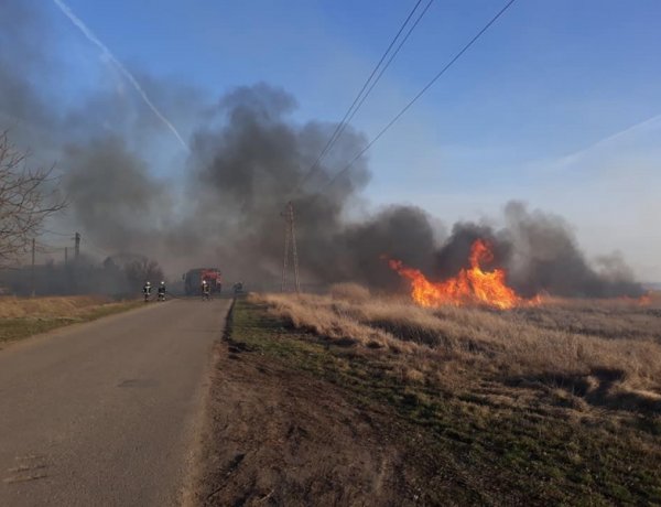 Figyelem! – Szerdától országos tűzgyújtási tilalmat rendeltek el