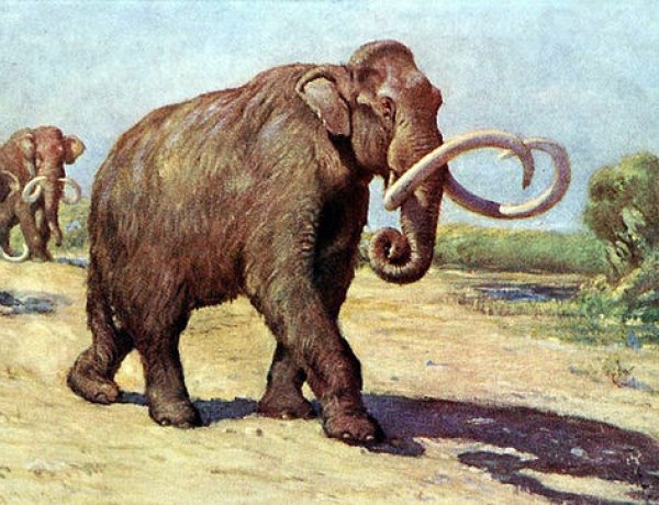 Múzeumi mamutfogó családi expedíció - a Jósa András Múzeumban