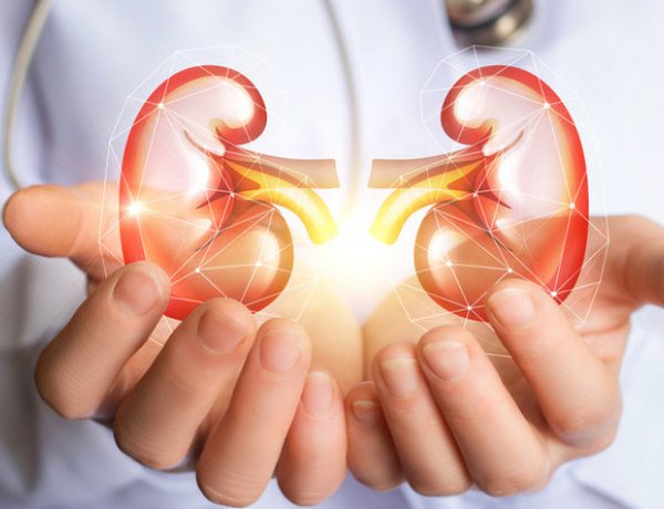 2019-ben 14. alkalommal rendezik meg a vese világnapját - Fontos a megelőzés