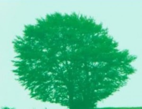 Kilenc nap Kárpátalján - kötetbemutató a Móricz Zsigmond könyvtárban