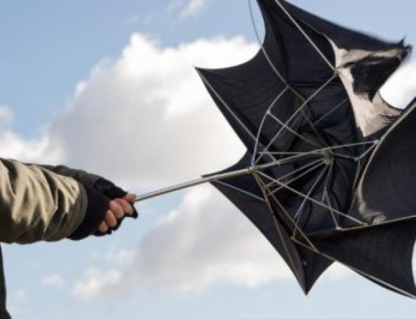 A szélvihar károsultjainak két munkanapon belül be kell jelenteniük a kárigényüket