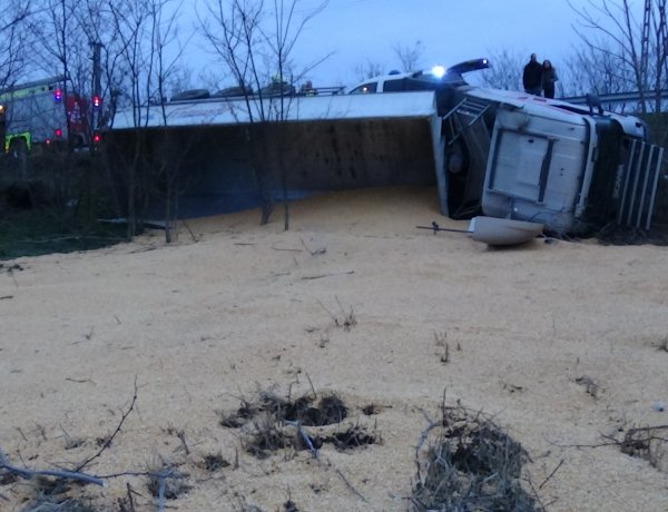 Több mint 24 tonna kukoricával borult árokba egy terményszállító kamion