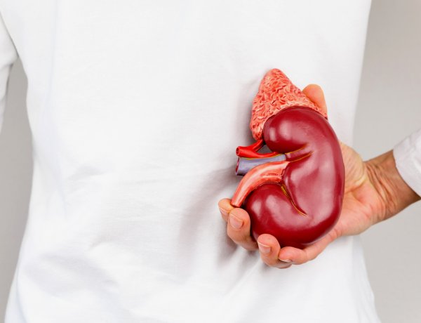 Vese Világnapja – Fontos a megelőzés és a betegség korai felismerése