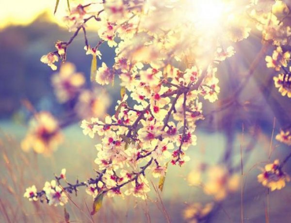 Vasárnapra átmenetileg visszatér a napos, enyhe idő - 20 fok is lehet