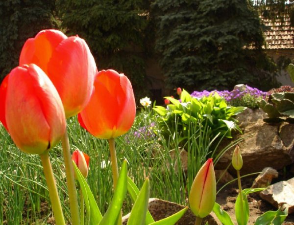 Tudja mikor lesz ismét 20 fok nappal? -  Benedek meghozza a meleget