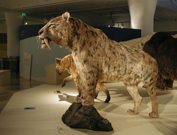 „Emberek a Jégkorszakban" - előadás a Jósa András Múzeumban 