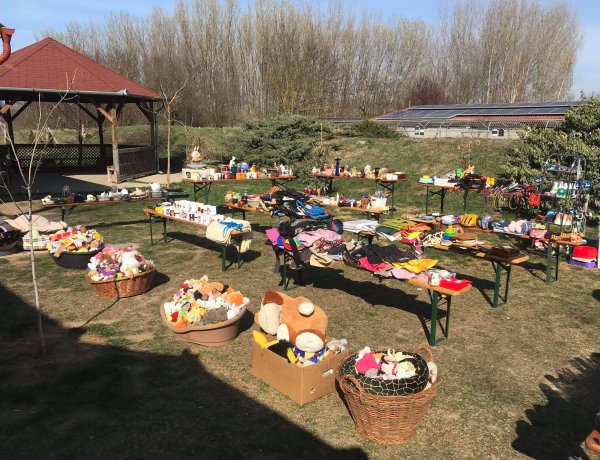 Szombaton és vasárnap ön is segíthet a menhelyes állatokon - Garázsvásár!