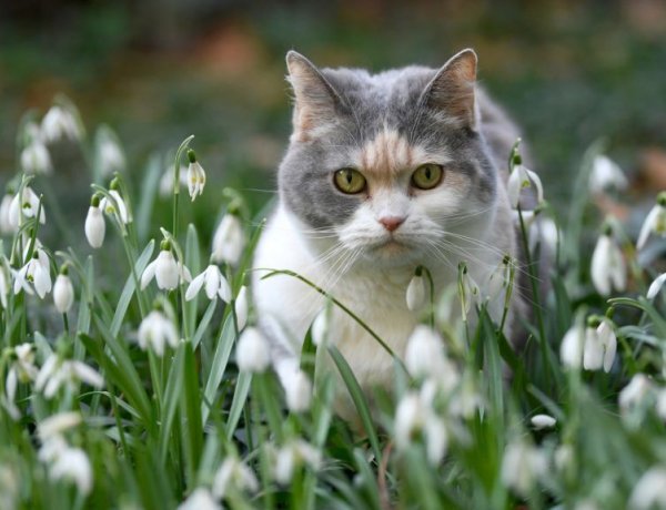 Napsütés, huszonhárom fok és nyárias idő lesz vasárnap - Igazi tavaszi idő