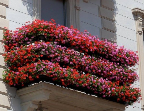 Ismét balkonföld akció indul Nyíregyházán – Erre a 104 helyszínre szállít a NYÍRVV