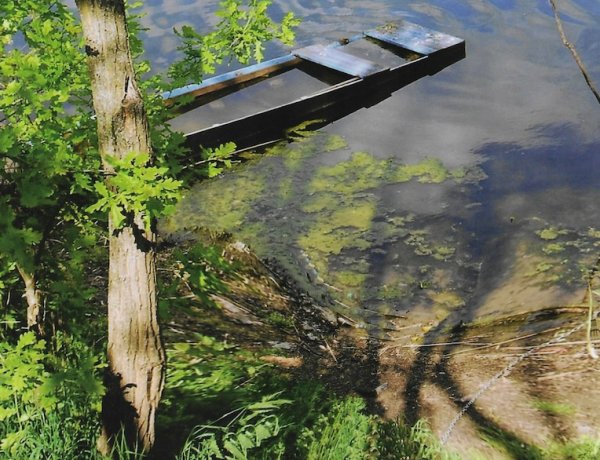 Partok közelítésében - Bodnár István verseskötetének bemutatója 