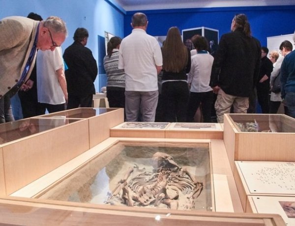 Ez történt Nyíregyházán – Fórumok, szakmai napok, faültetés és egy újabb kiállítás!