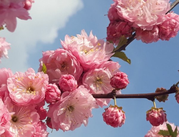 Az év első nyári napját regisztrálhattuk – 25 fokot mértek hétfőn