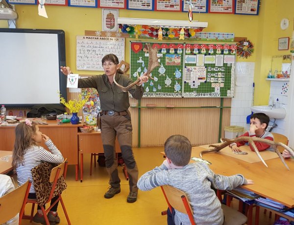 Egyre népszerűbb a Pál Miklós Erdészeti Erdei Iskola új programja