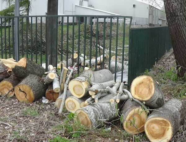 Forgalomkorlátozás várható szombaton 6 óra után a 41-es főútvonalon 