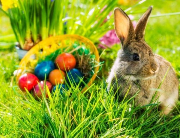 A húsvéti ünnepkörhöz kapcsolódóan számos tradíció él hazánkban