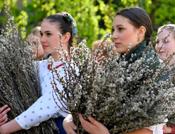 Virágvasárnappal elkezdődött a nagyhét – Innen ered a barkaszentelés hagyománya